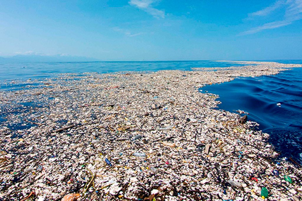 O plástico está nos oceanos, nos animais e em nós - Mundo certo